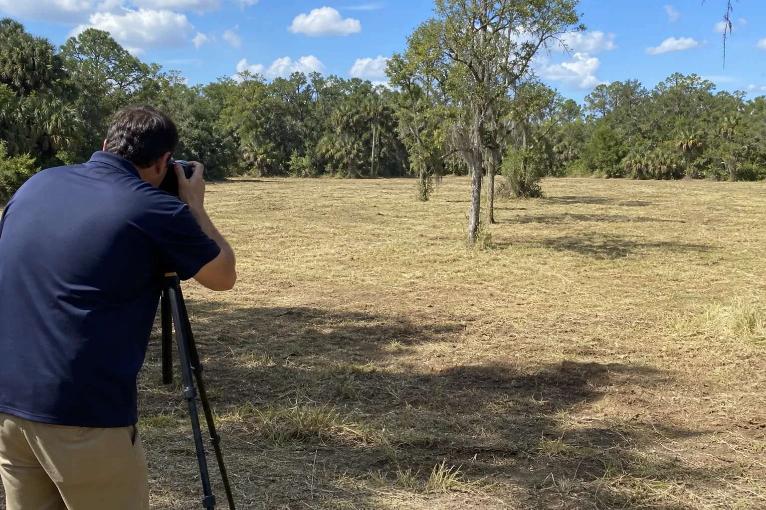 Photographing a Brush-Hogged Florida Property A man uses a tripod-mounted camera to photograph a freshly brush-hogged Florida property with scattered trees.