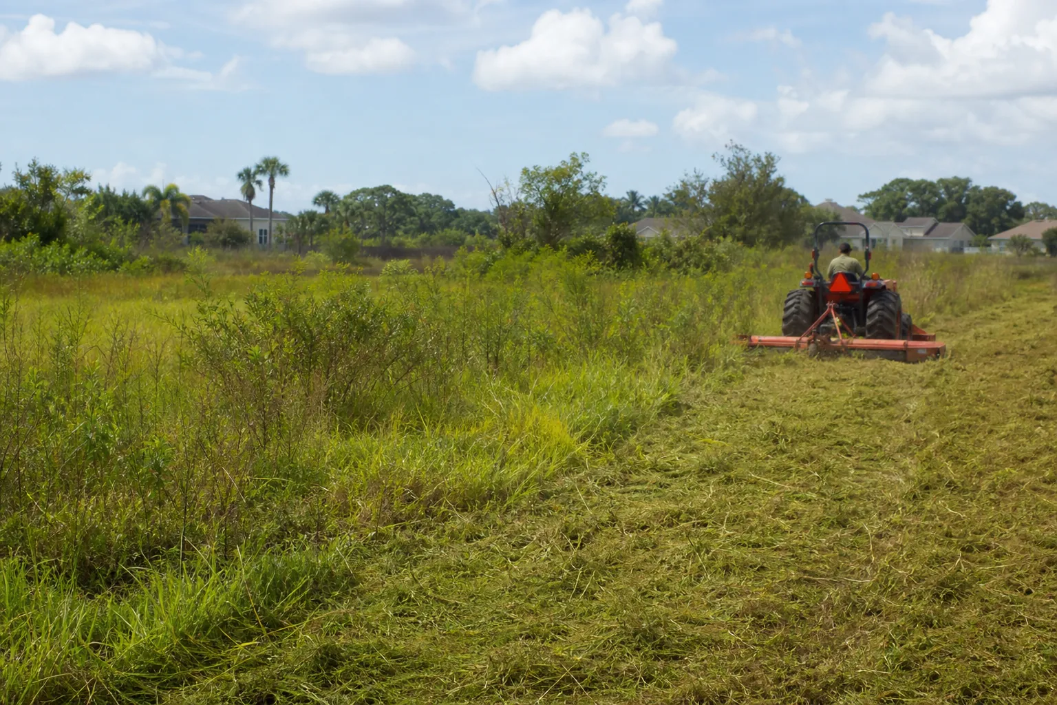 Tractor Brush Hogging an Overgrown Vacant Lot A tractor brush hogs an overgrown vacant lot, leaving a wide strip of freshly cut grass near suburban homes.