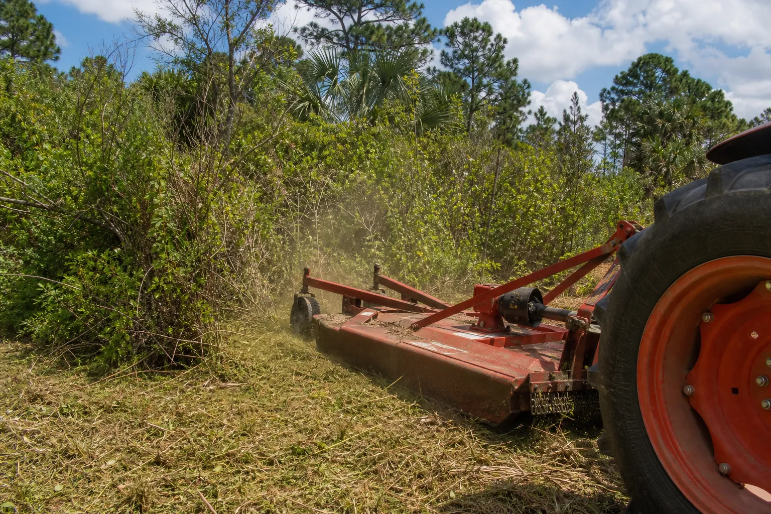 Tractor-mounted brush hog cuts dense shrubs and weeds along the edge of an overgrown wooded property.