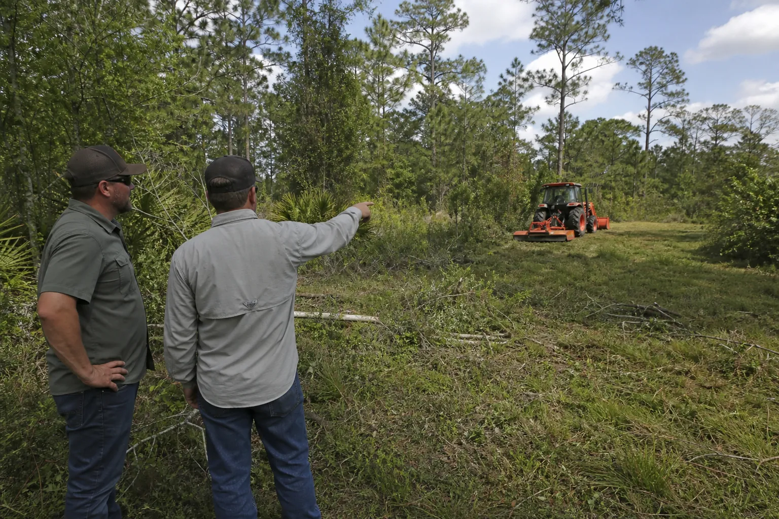 Two men inspect an overgrown wooded acreage, with one pointing toward a tractor and brush hog in a cleared area.