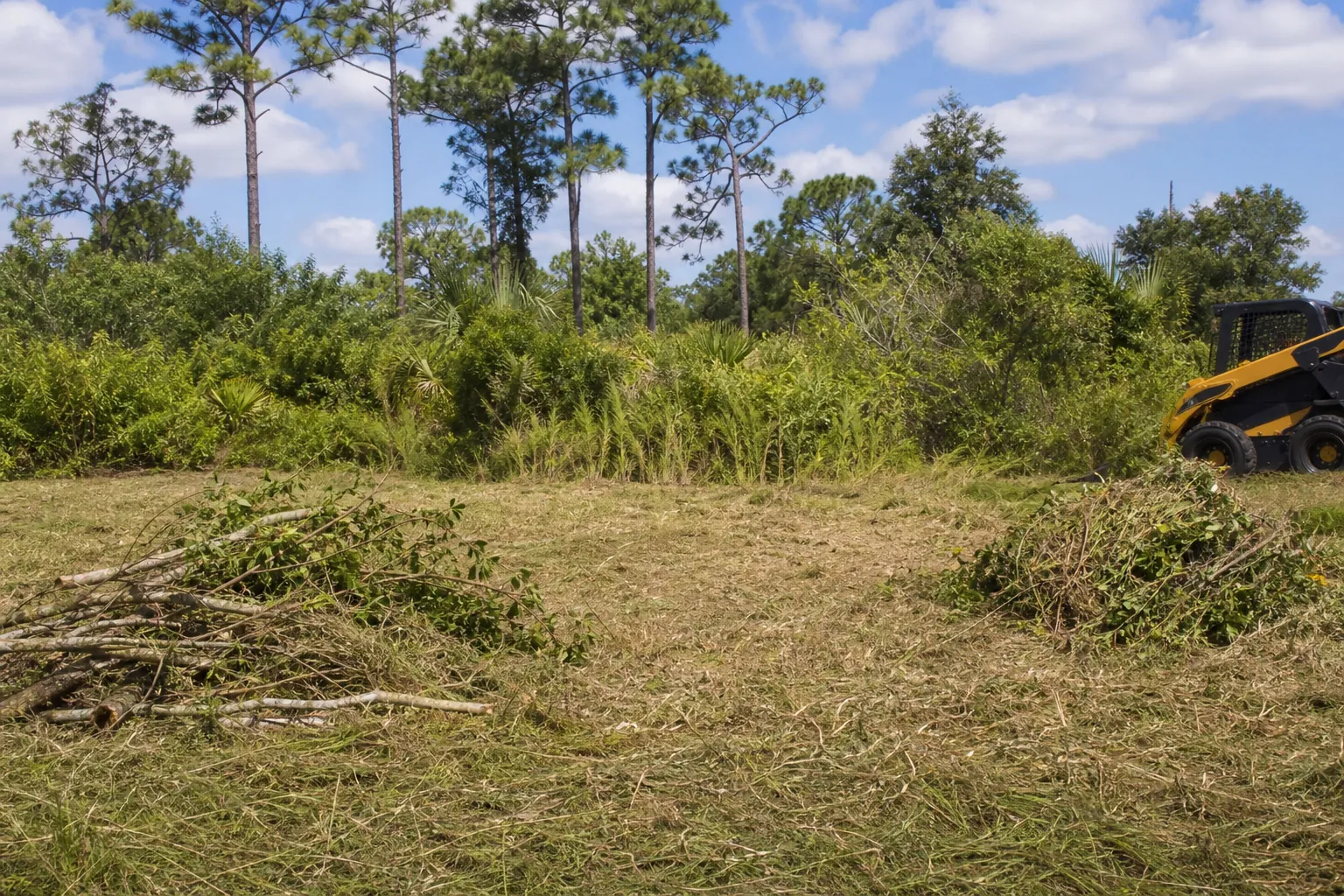 Freshly cleared vacant lot with brush piles, dense Florida vegetation, pine trees, and a skid steer at the edge.