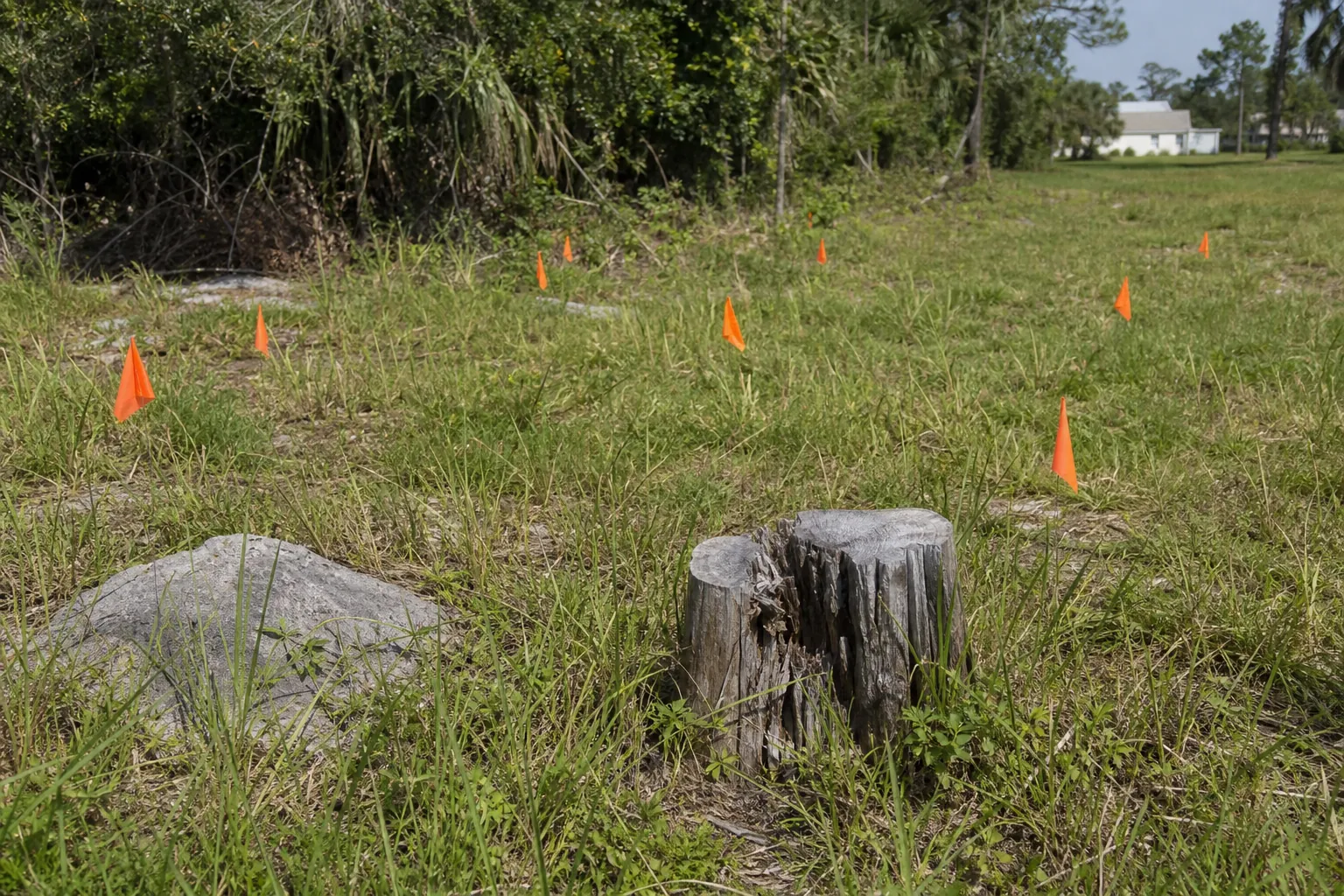 Orange flags mark rocks, a tree stump, and other hazards in a grassy vacant lot before brush hogging.