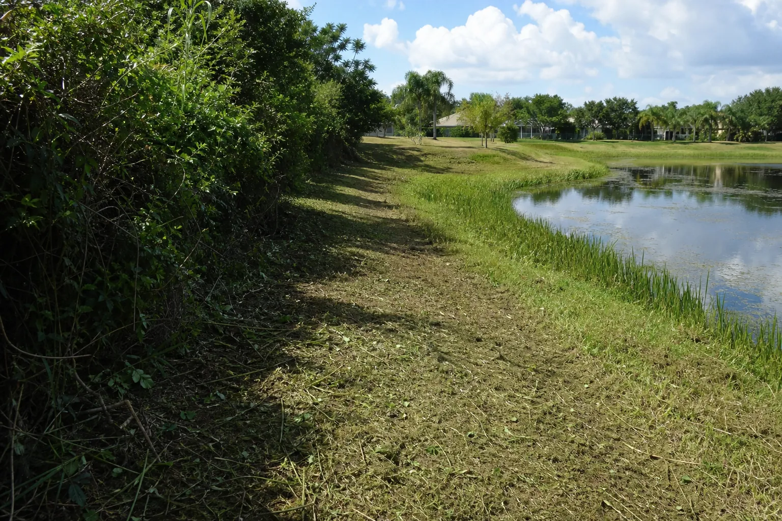 Freshly brush-hogged access path curves along a retention pond beside dense vegetation and distant homes.