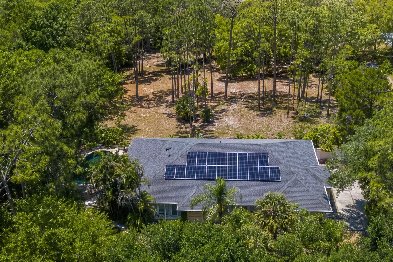 Editorial illustration of Can Canopy Thinning Improve Sun Exposure Around Solar Panels in Ormond Beach? in Florida