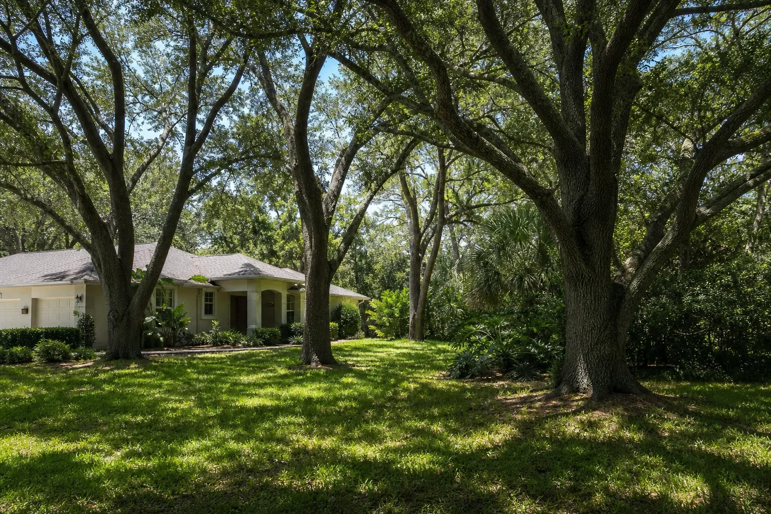 Editorial illustration of Start By Identifying The Real Source Of Shade in Florida