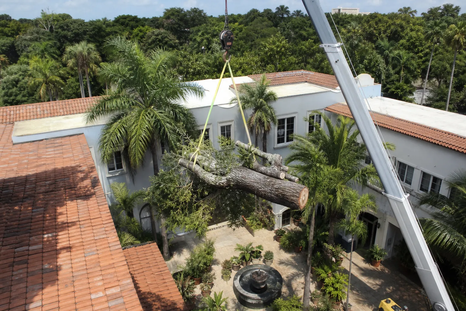 Editorial illustration of How A Crane-Assisted Removal Is Planned in Florida