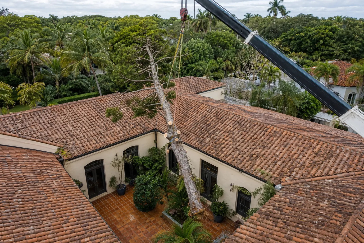 Editorial illustration of Why Courtyard Tree Removal Is Complex in Florida