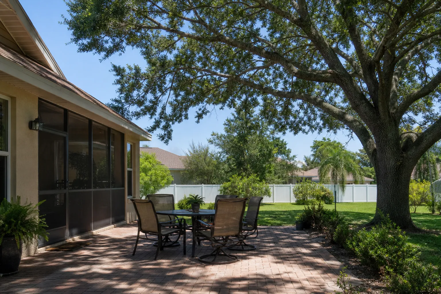 Can Crown Reduction Create Clearance Above a Deltona Patio? in Florida Editorial illustration of Can Crown Reduction Create Clearance Above a Deltona Patio? in Florida