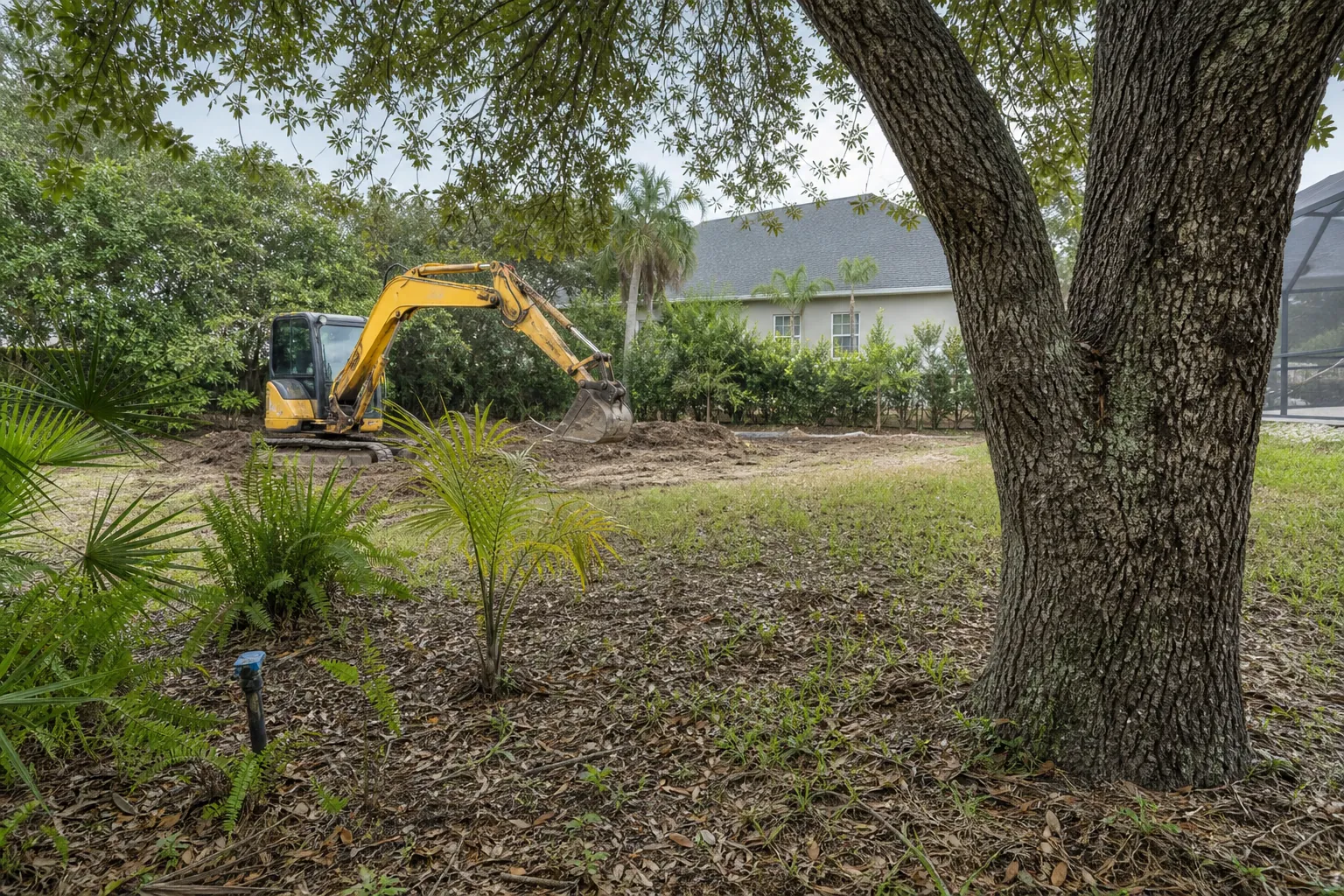 Excavator Clearing a Wooded Yard Before Pool Construction Yellow excavator clearing a wooded residential yard beside a large mature tree and screened pool enclosure.