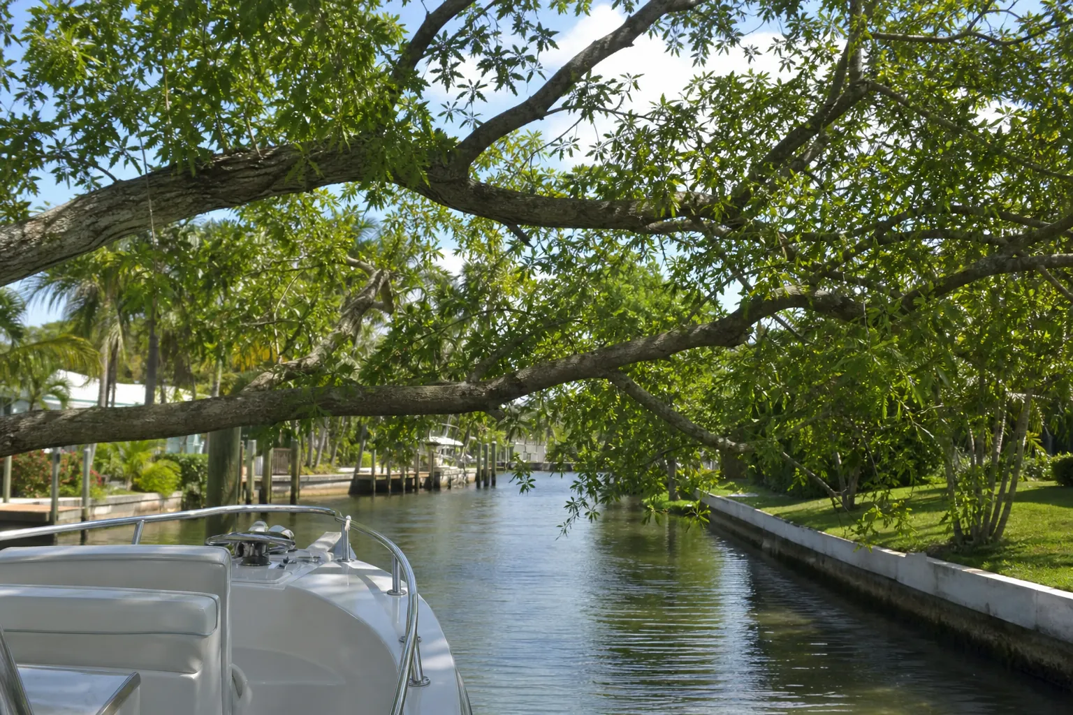 Practical tree trimming for safer boat access in Florida Editorial illustration of Practical tree trimming for safer boat access in Florida
