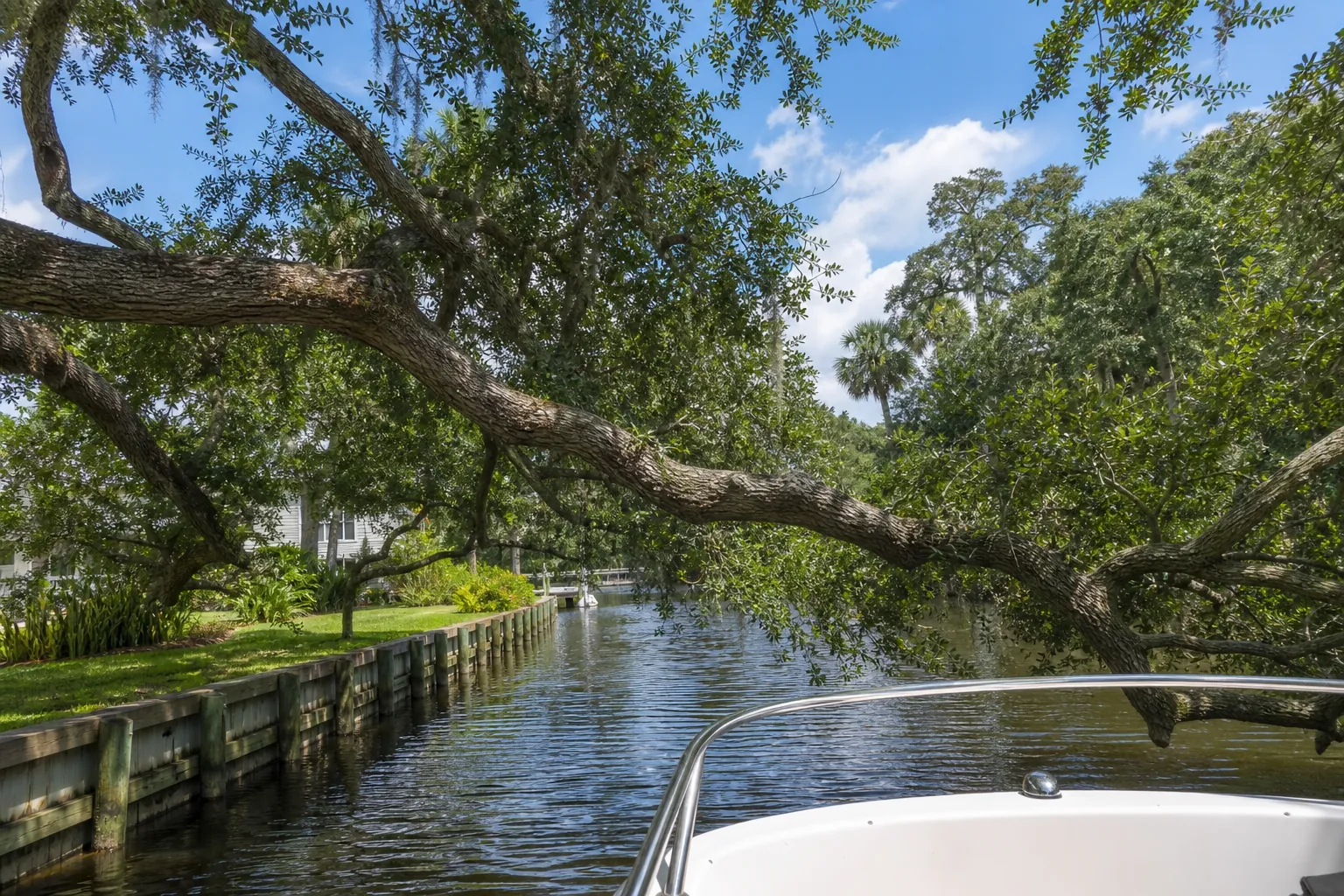 Where Tree Growth Can Interfere With Boat Access in Florida Editorial illustration of Where Tree Growth Can Interfere With Boat Access in Florida