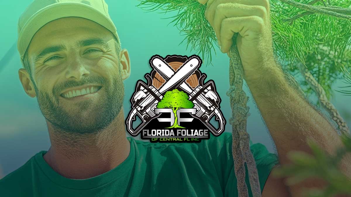 Stump grinding and cleanup by Florida Foliage