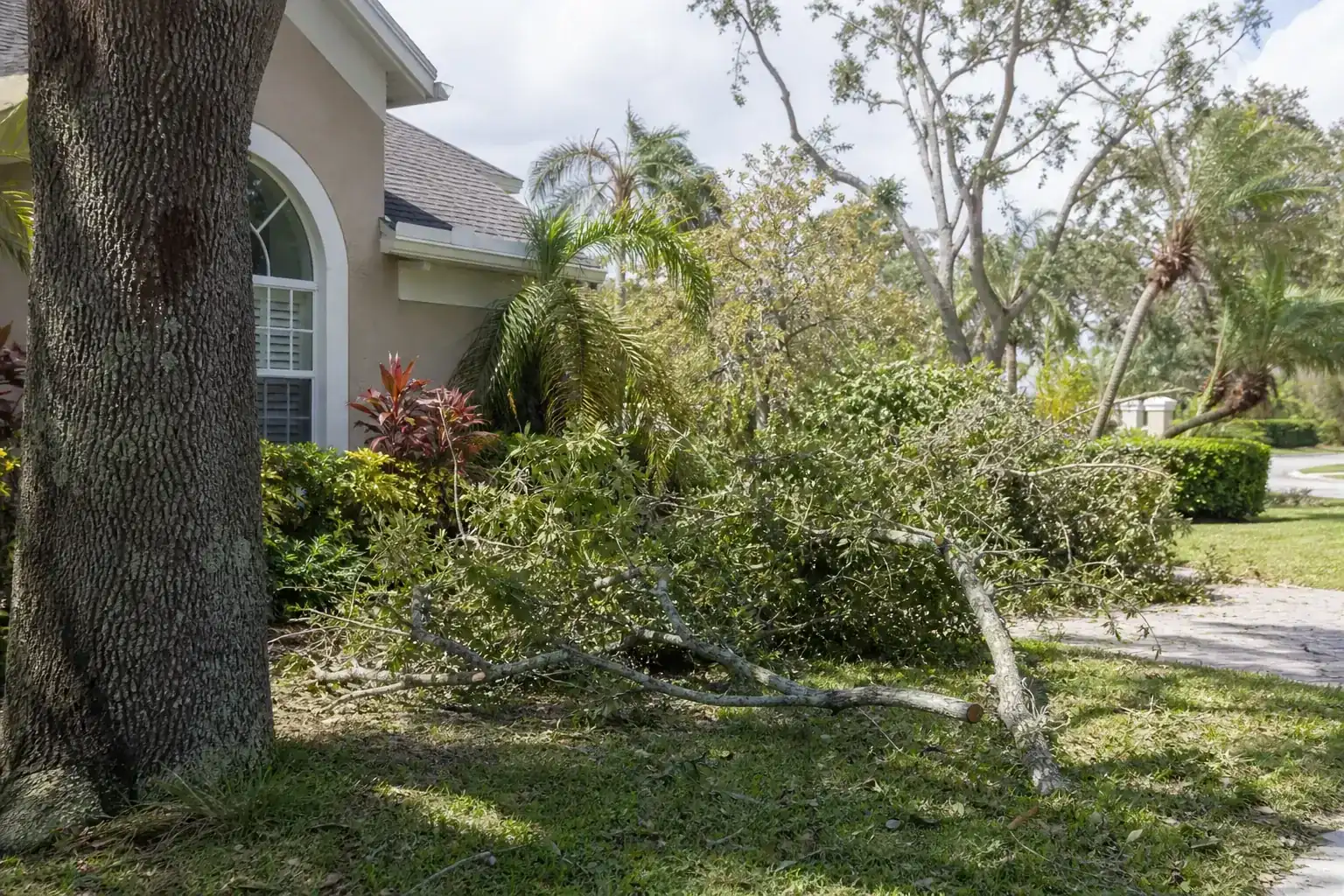 Storm-damaged branches beside a Florida home illustrating assessing storm damage to trees safely in daytona beach, fl