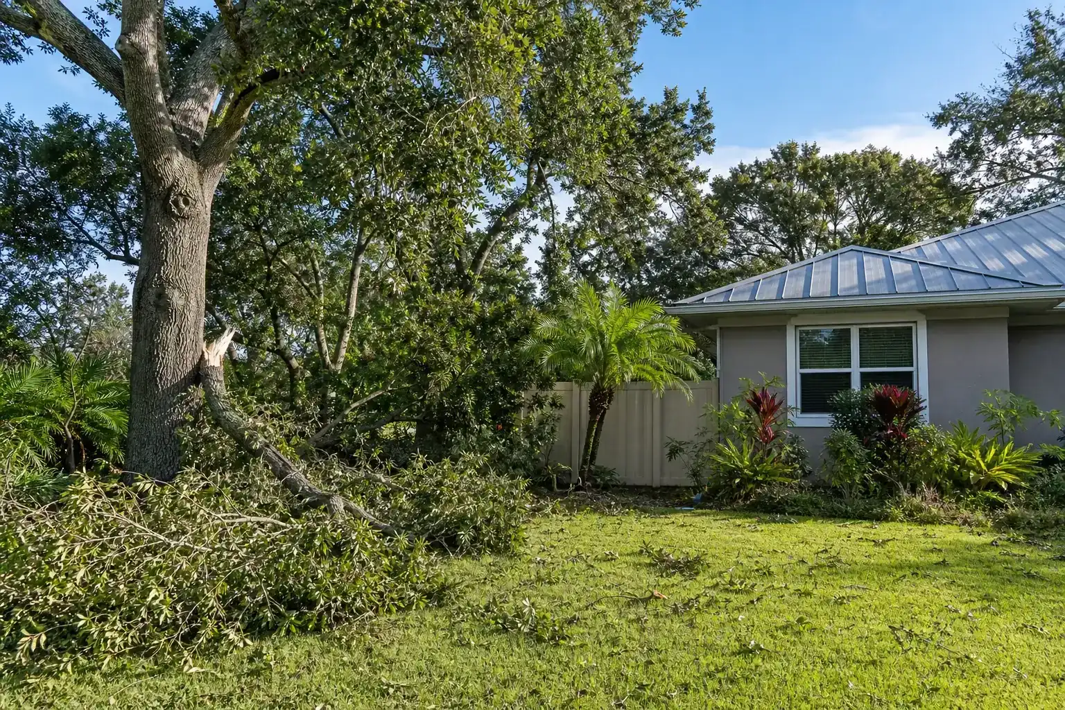 Storm-damaged branches beside a Florida home during a discussion of why professional arborist inspections matter