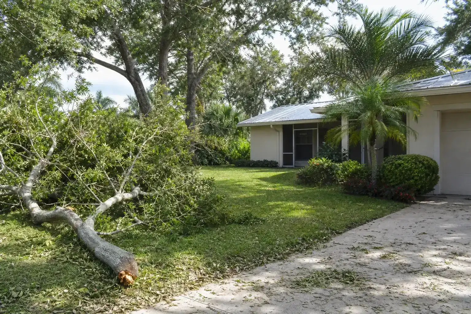 Storm-damaged branches beside a Florida home during a discussion of why grapple trucks excel in post-storm cleanup