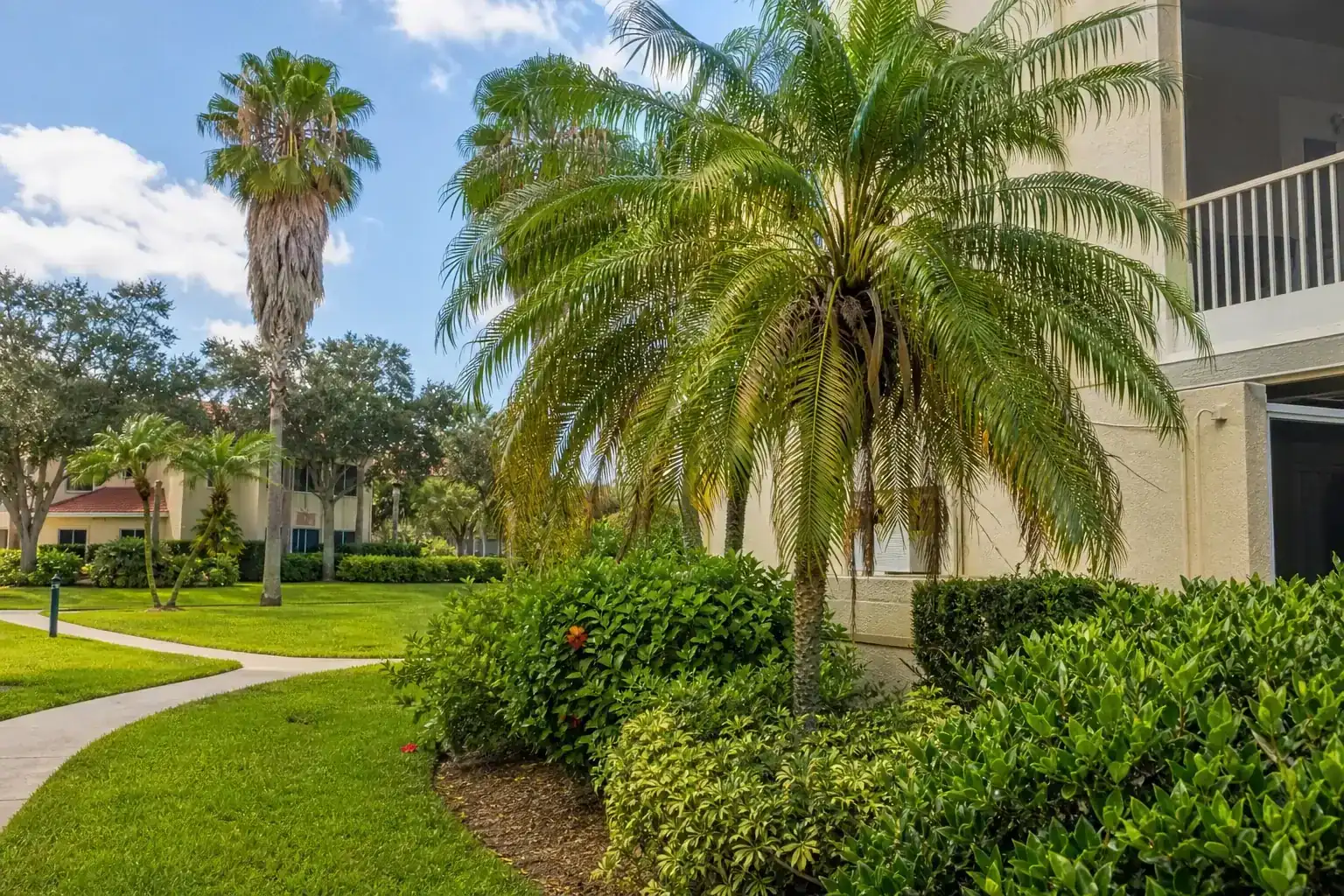 Palm trees in a Central Florida yard during a discussion of common tree challenges for condo associations