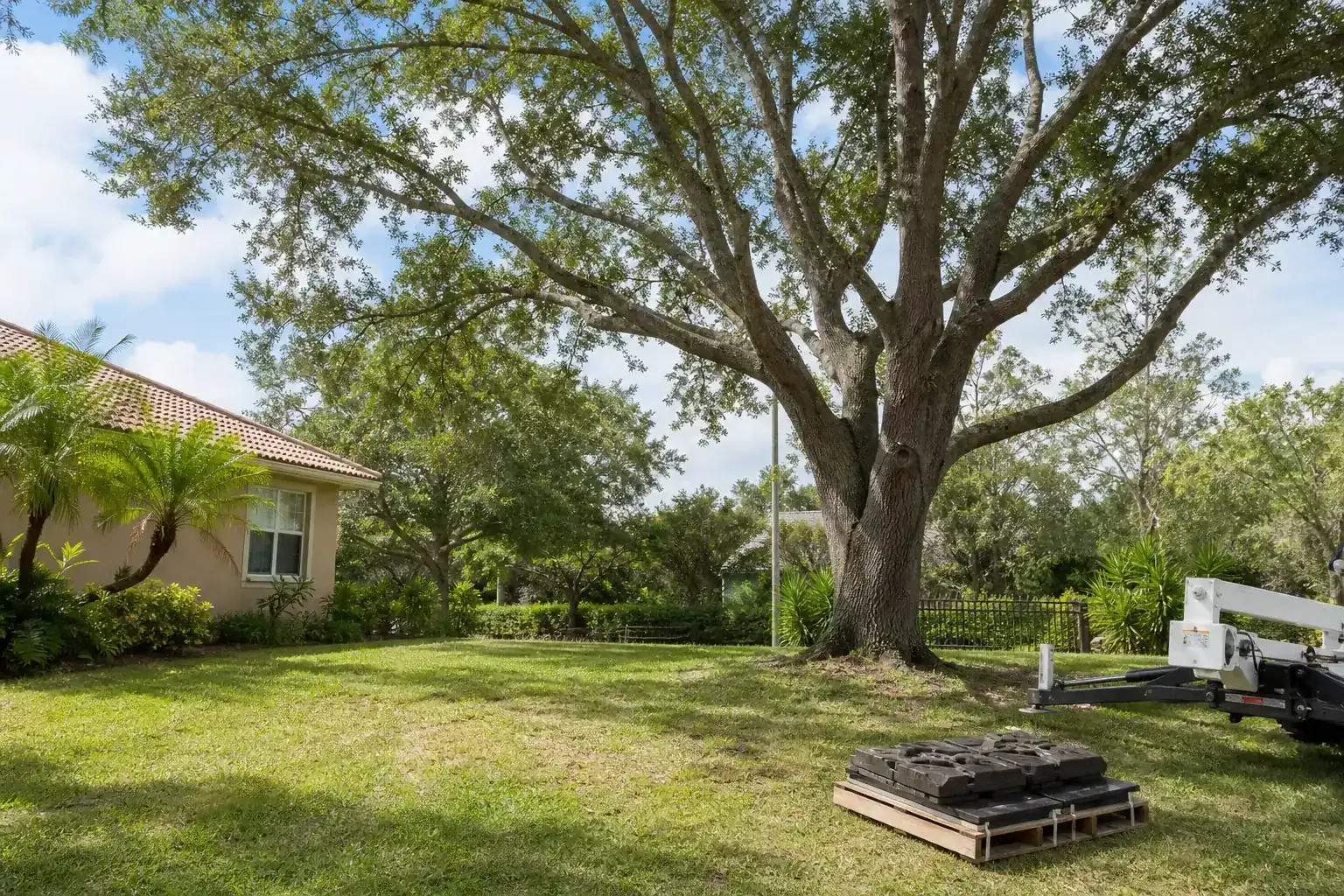 Mature Florida tree in a residential yard during a discussion of why choose crane tree removal? Mature Florida tree in a residential yard during a discussion of why choose crane tree removal?