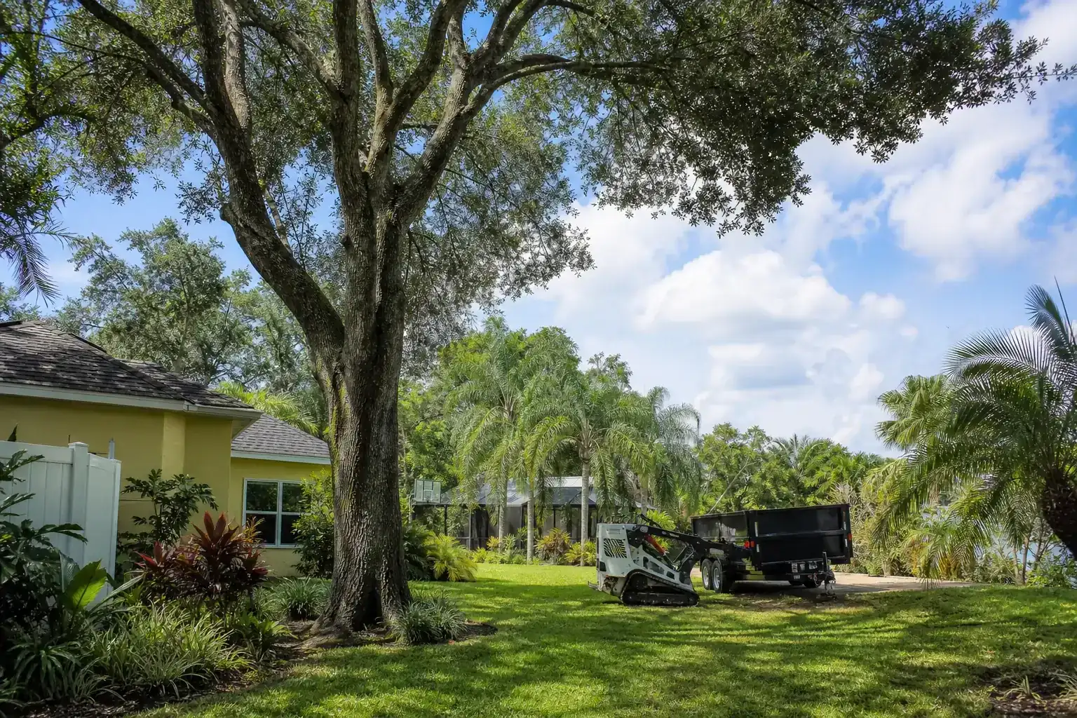 Mature Florida tree in a residential yard during a discussion of why tight spaces require a different approach