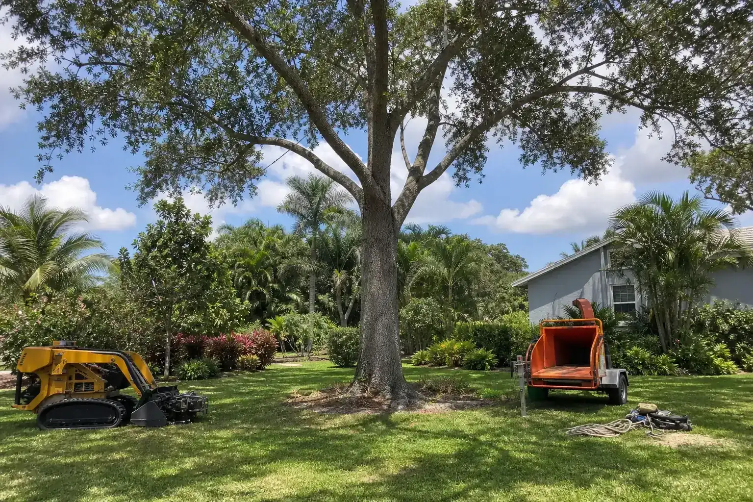 Mature Florida tree in a residential yard during a discussion of benefits for hoas in holly hill, fl Mature Florida tree in a residential yard during a discussion of benefits for hoas in holly hill, fl