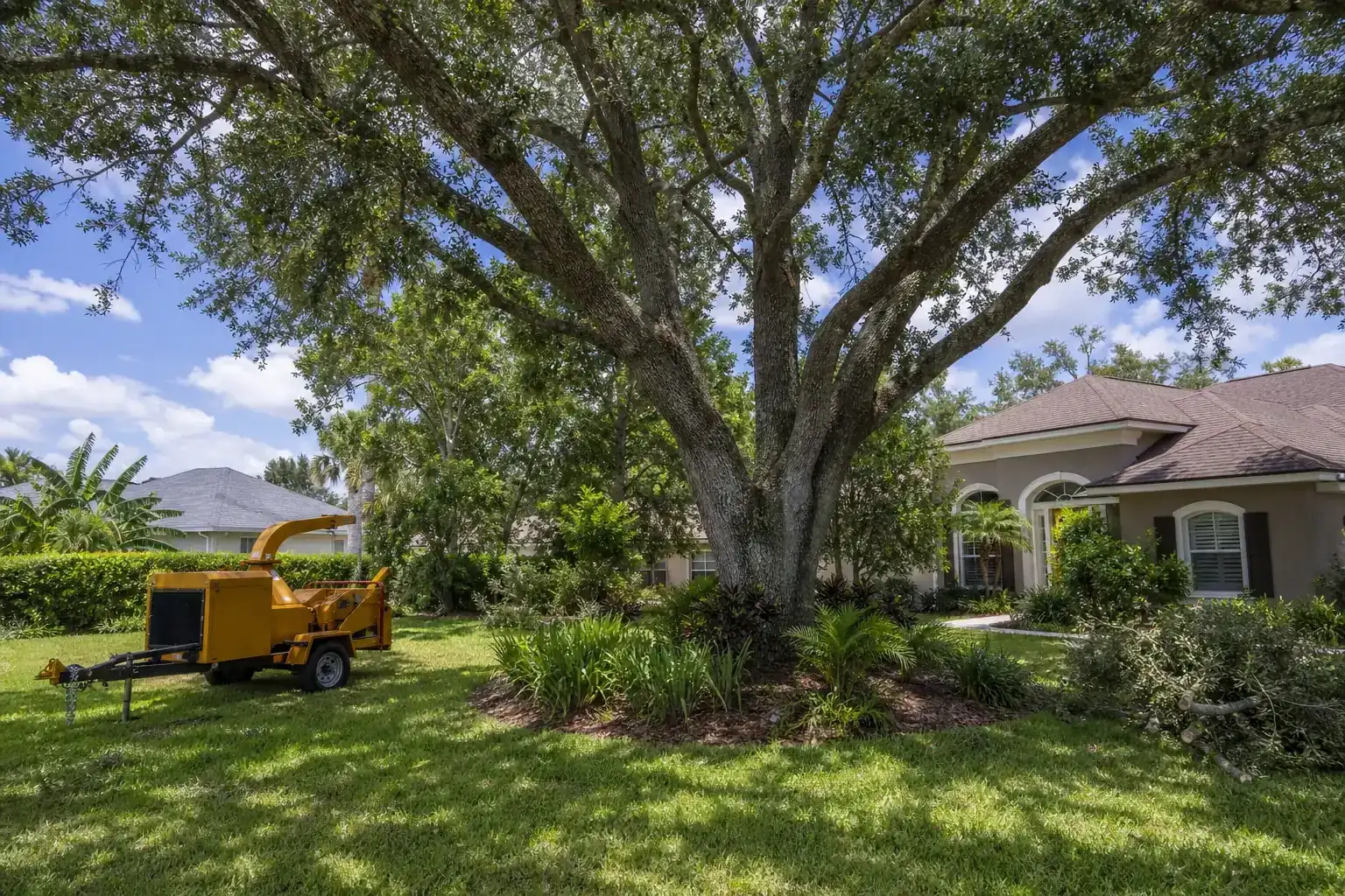 Mature Florida tree in a residential yard during a discussion of what is crown reduction?