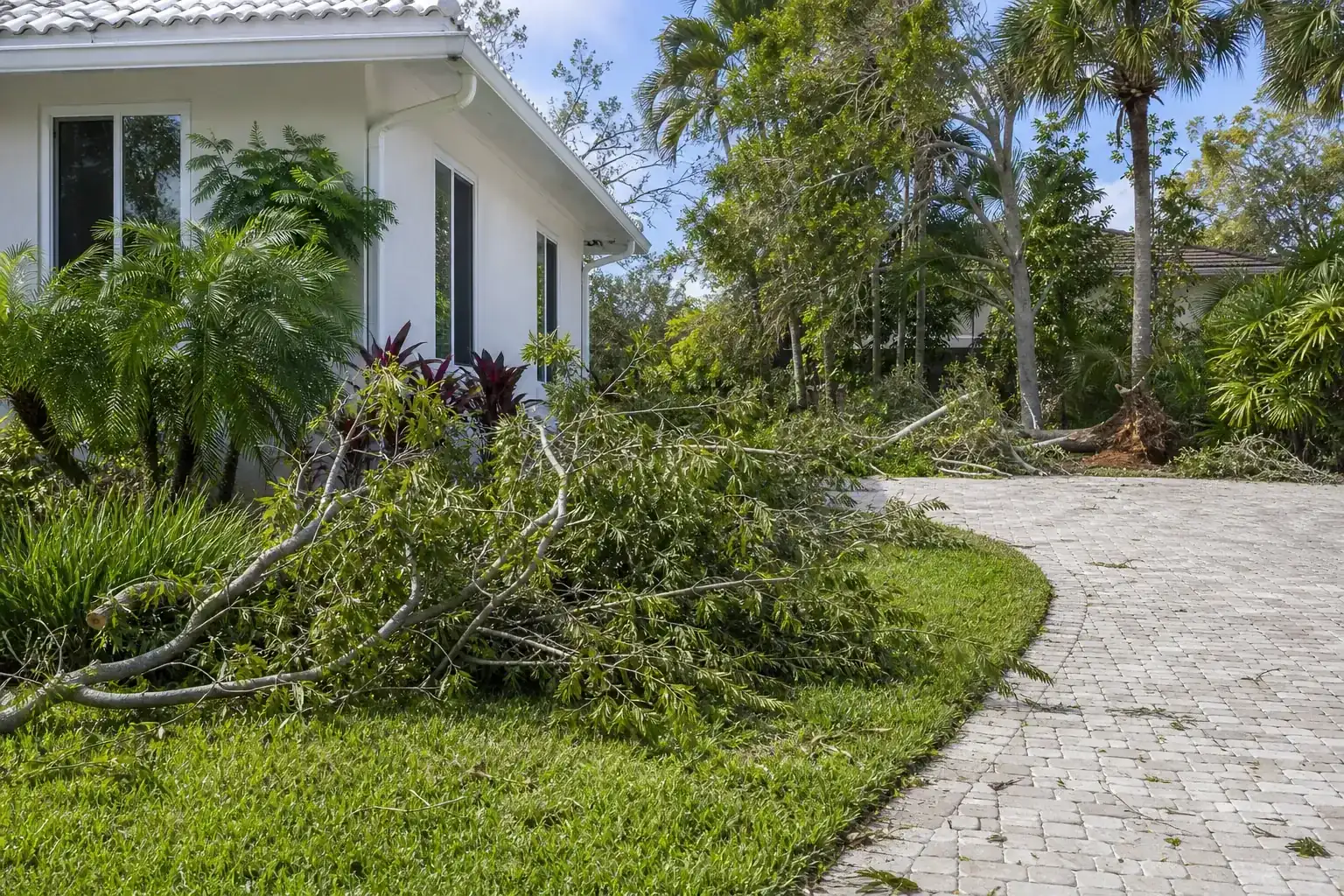 Storm-damaged branches beside a Florida home illustrating understanding crown reduction and its role in storm safety