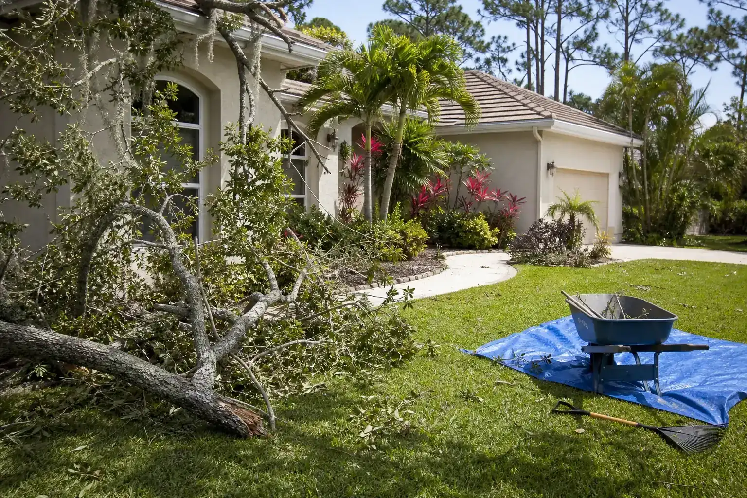 Storm-damaged branches beside a Florida home illustrating understanding the risks after a windstorm Storm-damaged branches beside a Florida home illustrating understanding the risks after a windstorm