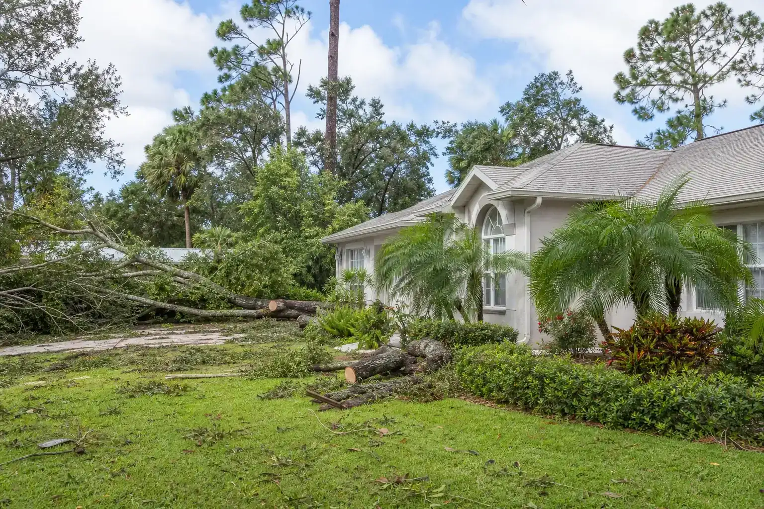 Storm-damaged branches beside a Florida home during a discussion of why prompt tree removal matters Storm-damaged branches beside a Florida home during a discussion of why prompt tree removal matters