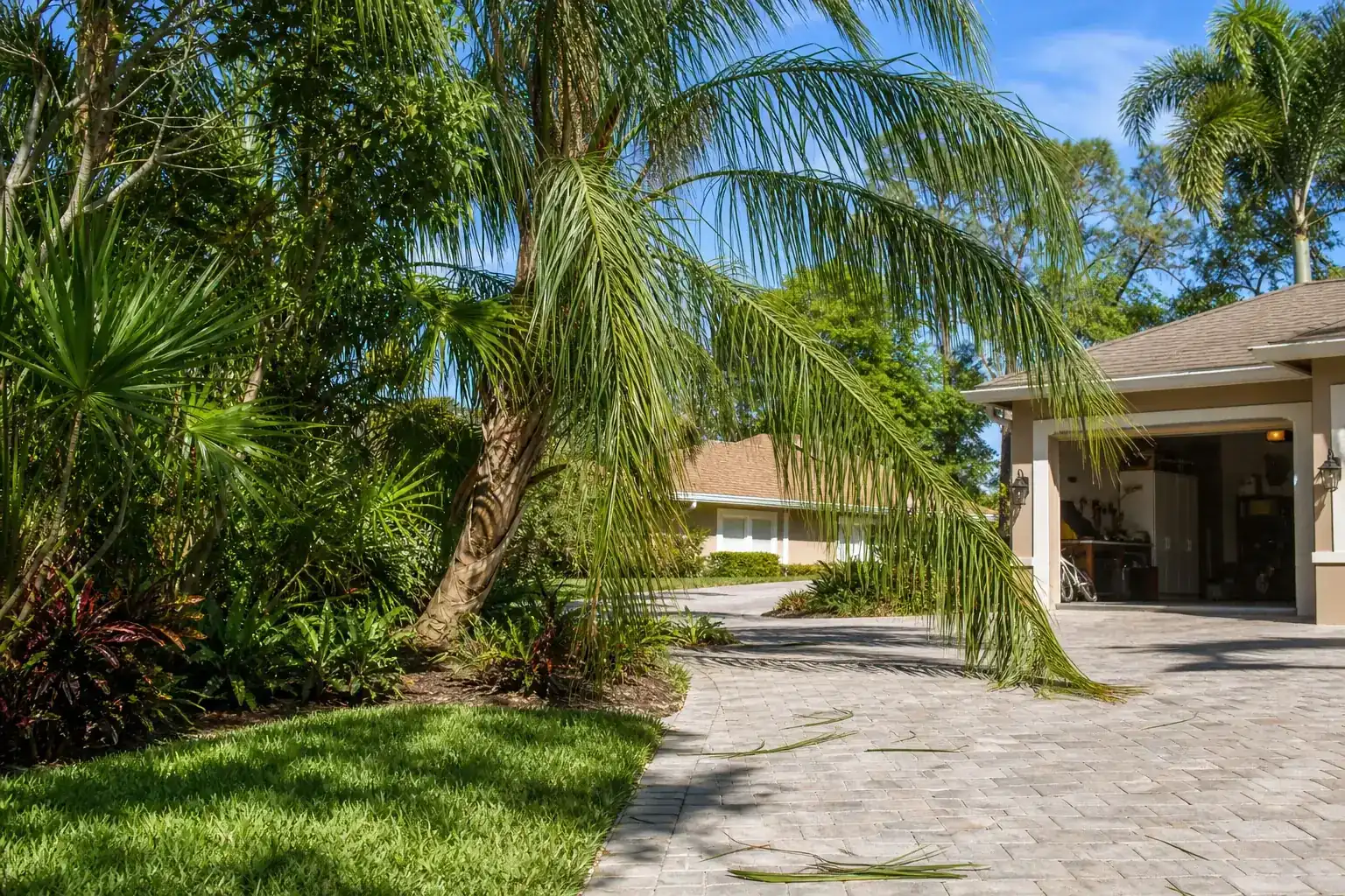 Palm trees in a Central Florida yard illustrating understanding the urgency of blocked driveways Palm trees in a Central Florida yard illustrating understanding the urgency of blocked driveways