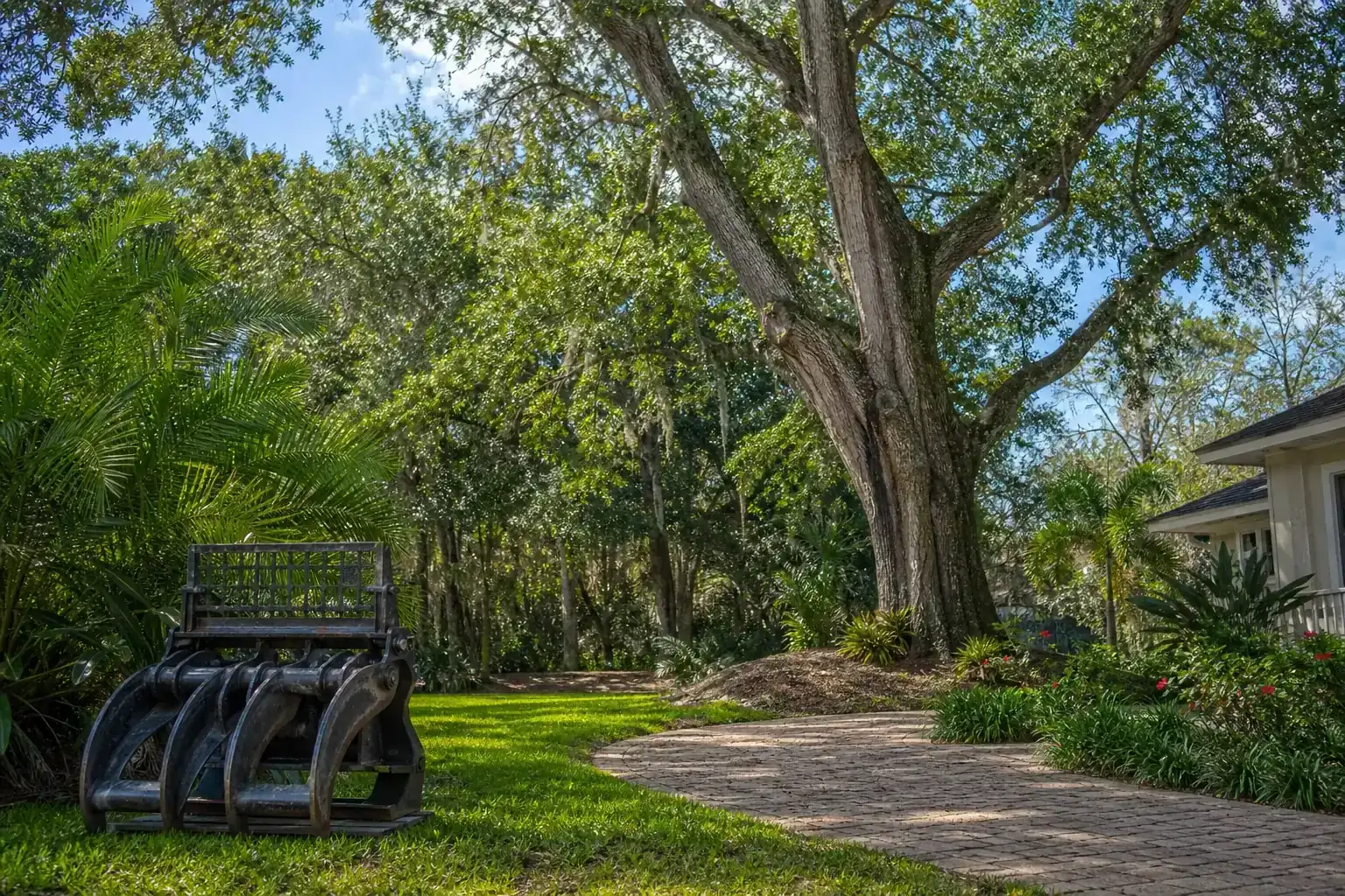 Mature Florida tree in a residential yard during a discussion of key benefits of using grapple trucks