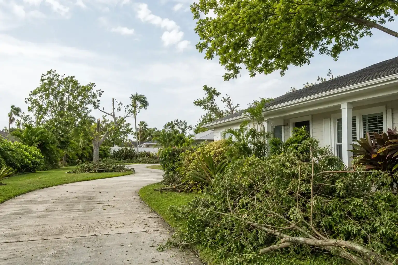 Storm-damaged branches beside a Florida home for hurricane storm cleanup services daytona beach fl