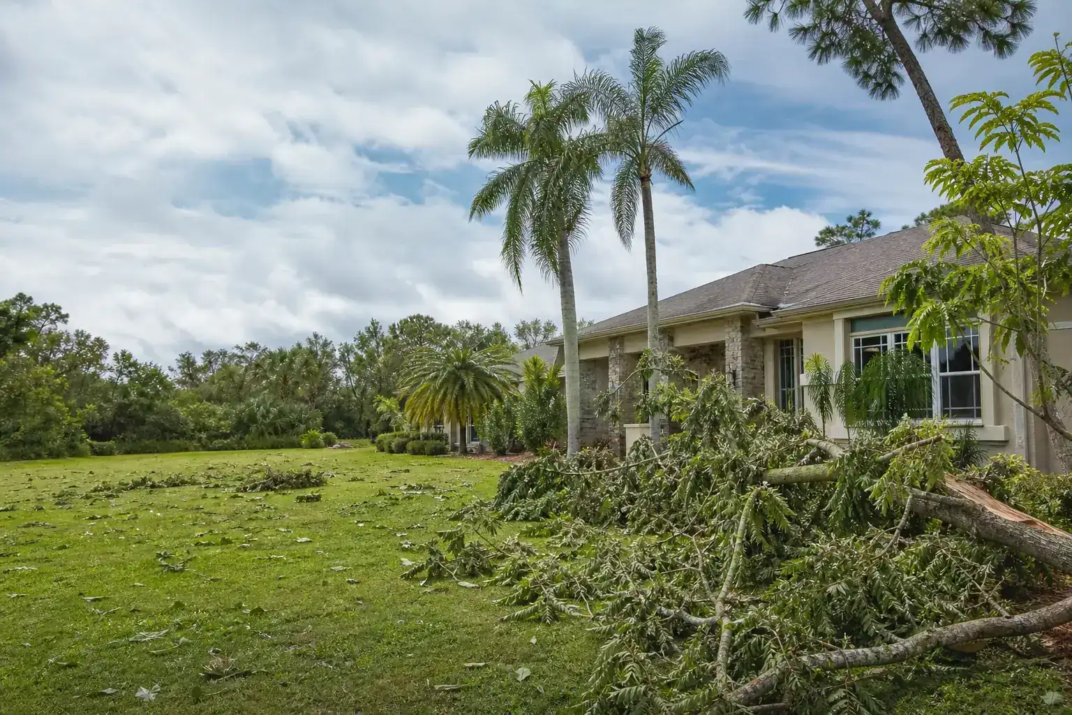 Storm-damaged branches beside a Florida home for hurricane tree damage removal central florida