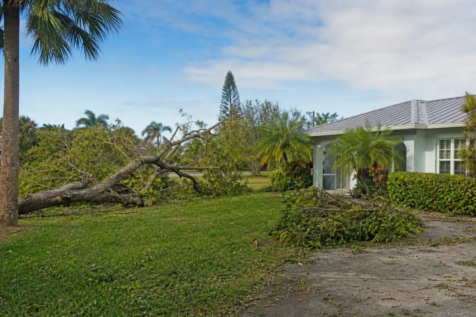 Storm-damaged branches beside a Florida home for hurricane tree debris cleanup in daytona beach, fl Storm-damaged branches beside a Florida home for hurricane tree debris cleanup in daytona beach, fl