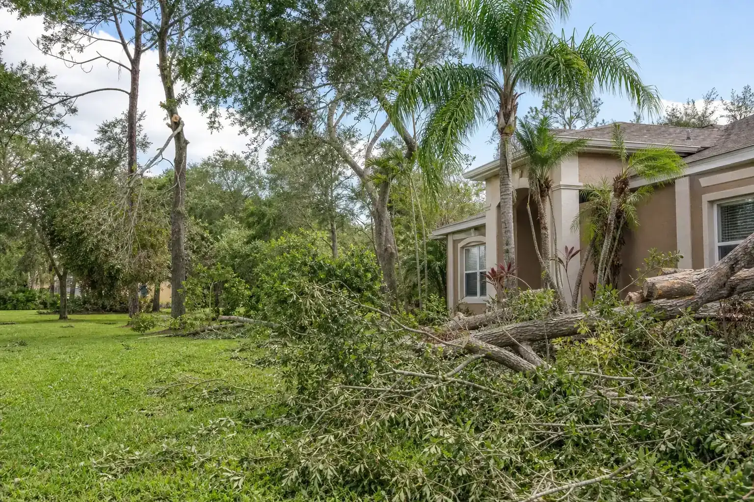 Storm-damaged branches beside a Florida home during a discussion of importance of regular tree inspections in central fl