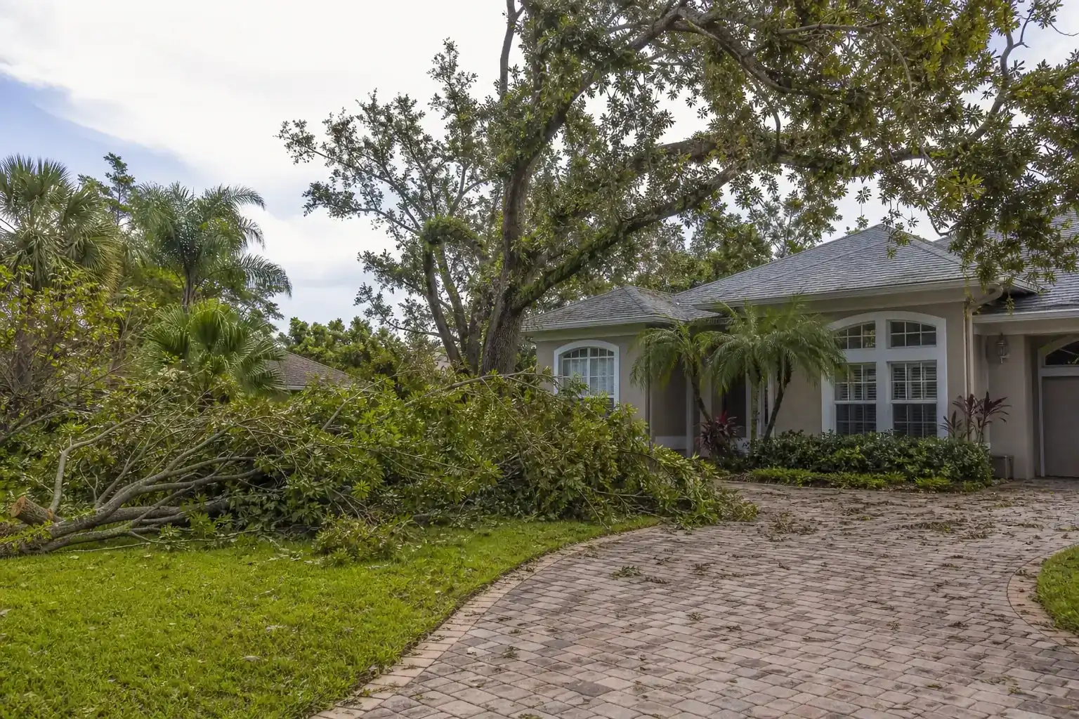 Storm-damaged branches beside a Florida home for hurricane tree removal daytona beach fl – fast help Storm-damaged branches beside a Florida home for hurricane tree removal daytona beach fl – fast help