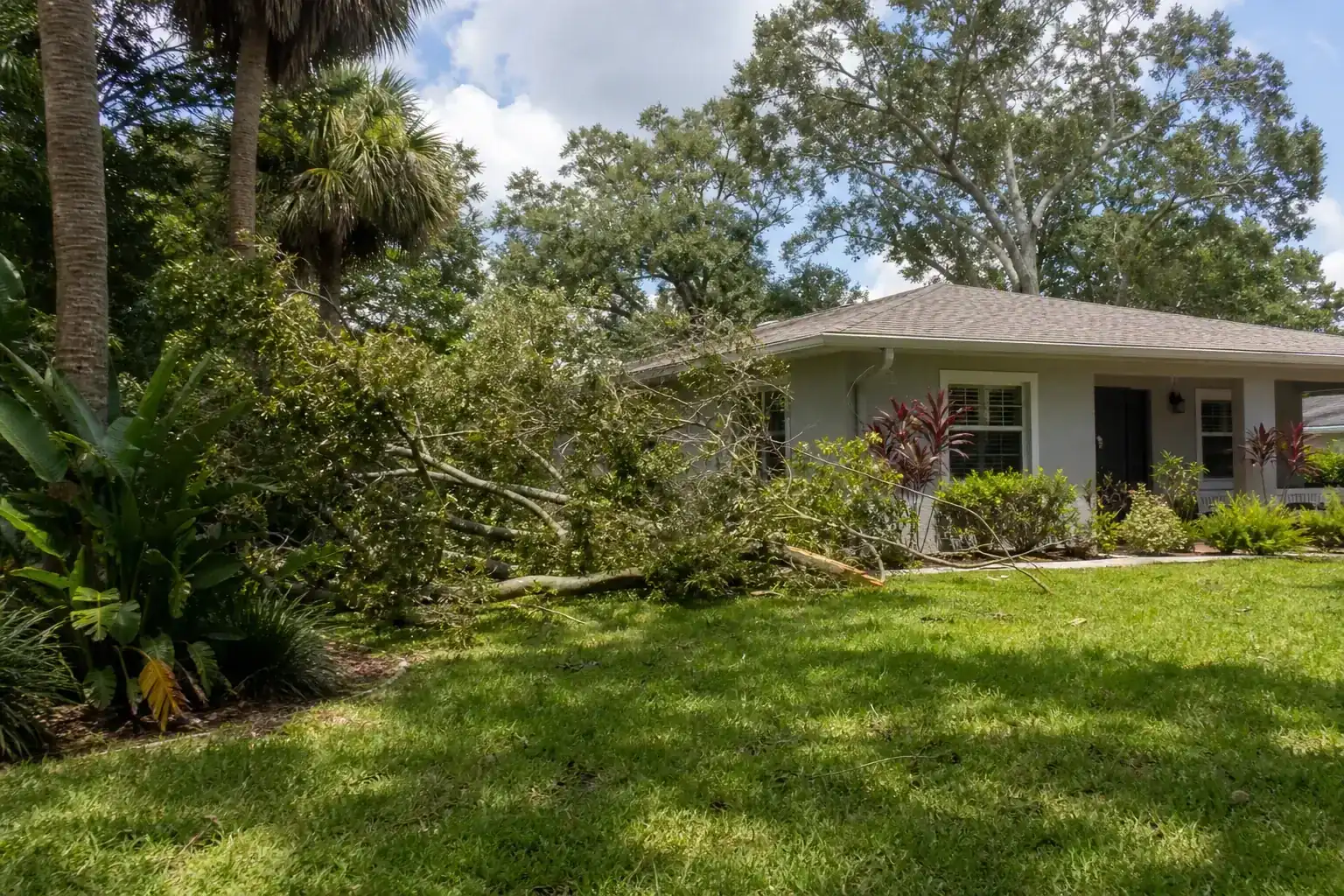 Storm-damaged branches beside a Florida home during a discussion of key factors in tree risk assessment in central florida