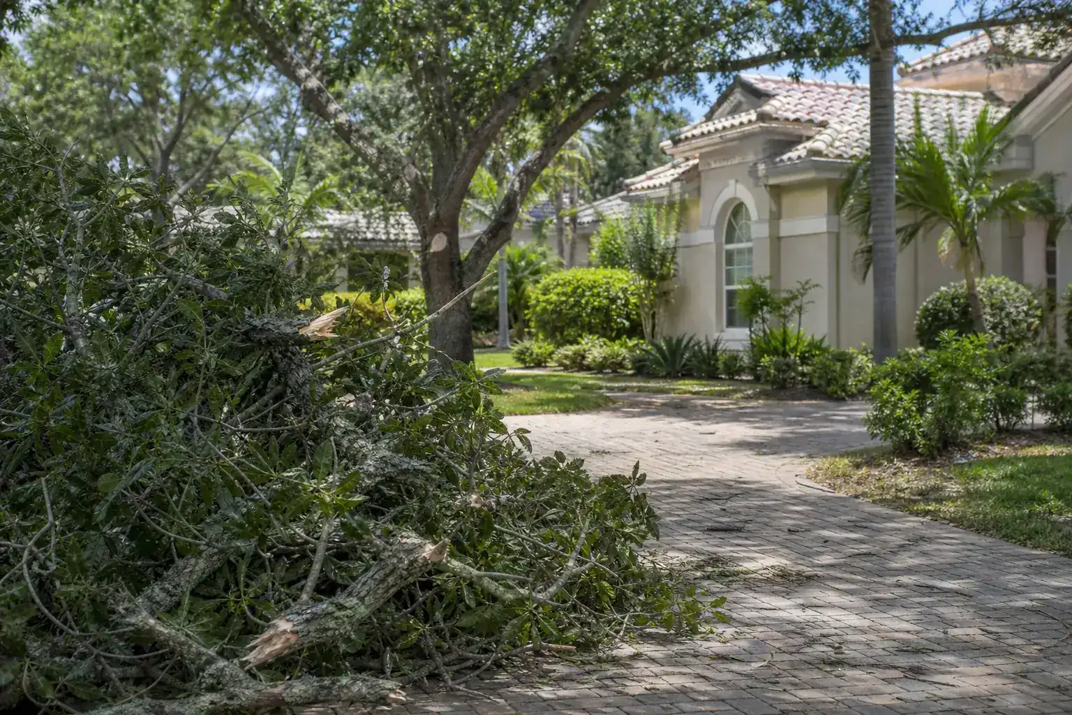 Storm-damaged branches beside a Florida home illustrating understanding hurricane tree risk assessments in central florida