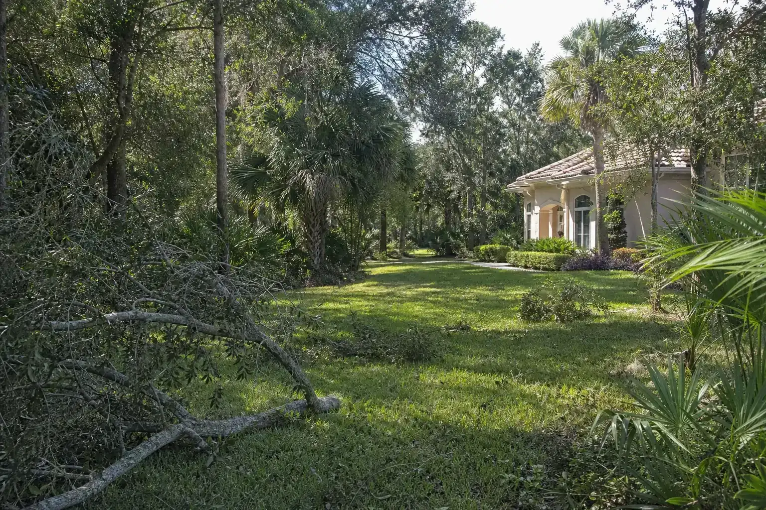 Storm-damaged branches beside a Florida home during a discussion of use a practical trimming timeline