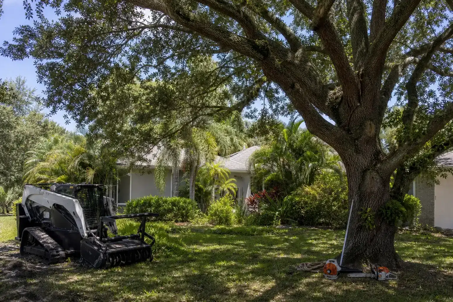 Mature Florida tree in a residential yard during a discussion of why professional land clearing matters Mature Florida tree in a residential yard during a discussion of why professional land clearing matters