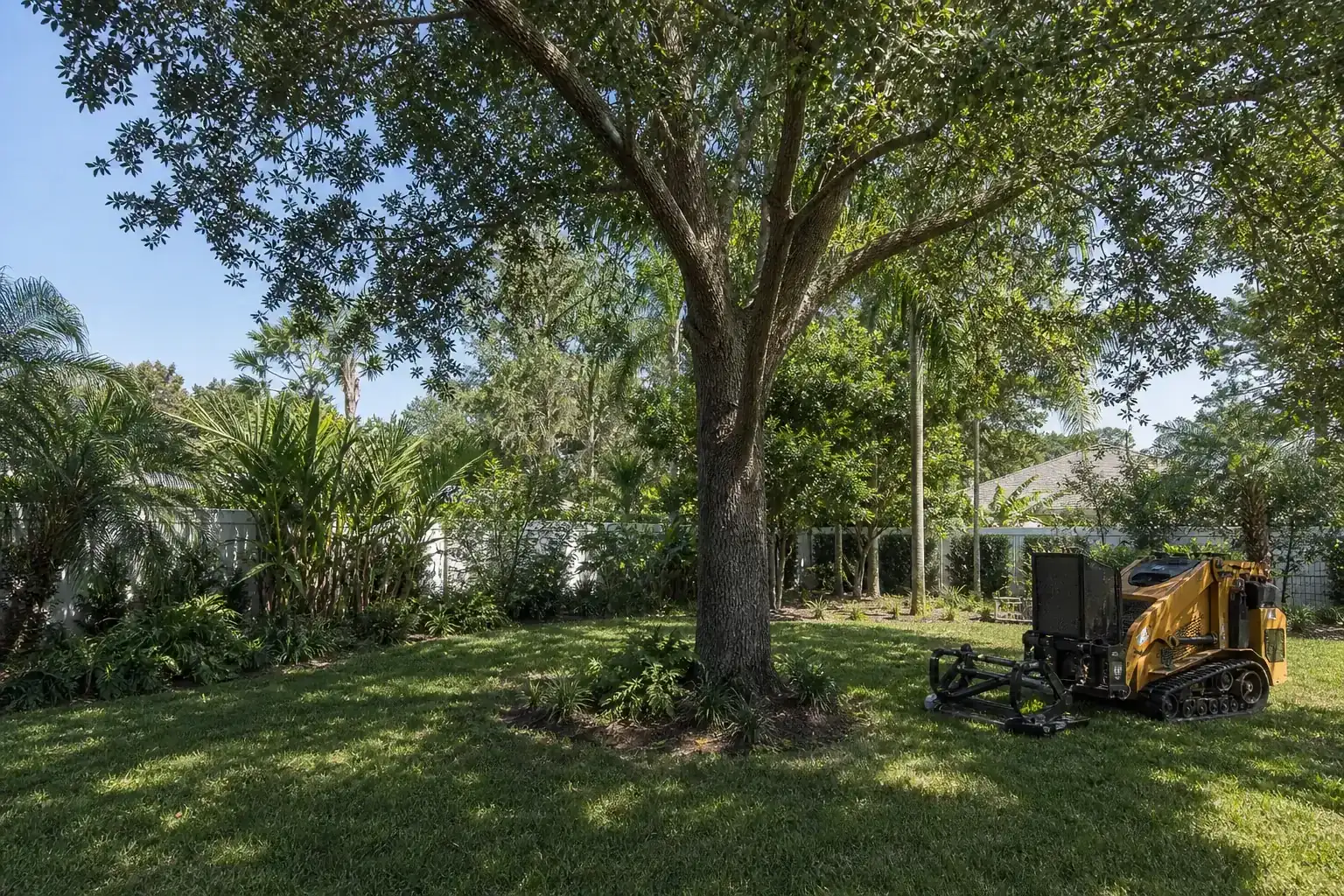 Mature Florida tree in a residential yard during a discussion of what does land clearing involve? Mature Florida tree in a residential yard during a discussion of what does land clearing involve?