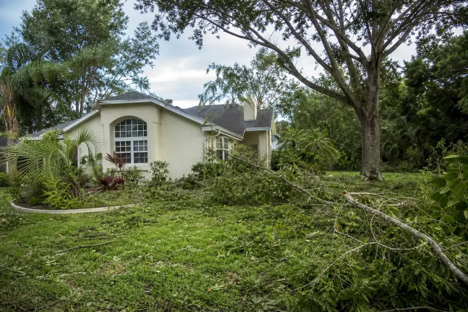 Storm-damaged branches beside a Florida home during a discussion of assessing tree health and stability Storm-damaged branches beside a Florida home during a discussion of assessing tree health and stability