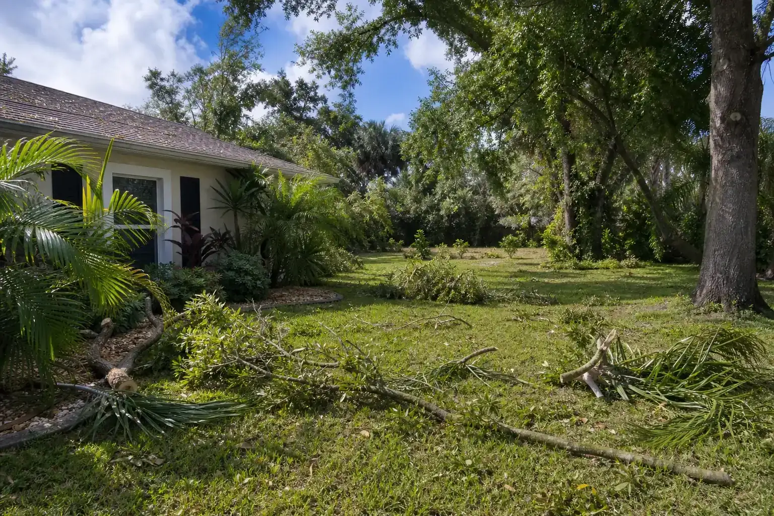 Storm-damaged branches beside a Florida home during a discussion of assessing tree health and structure Storm-damaged branches beside a Florida home during a discussion of assessing tree health and structure