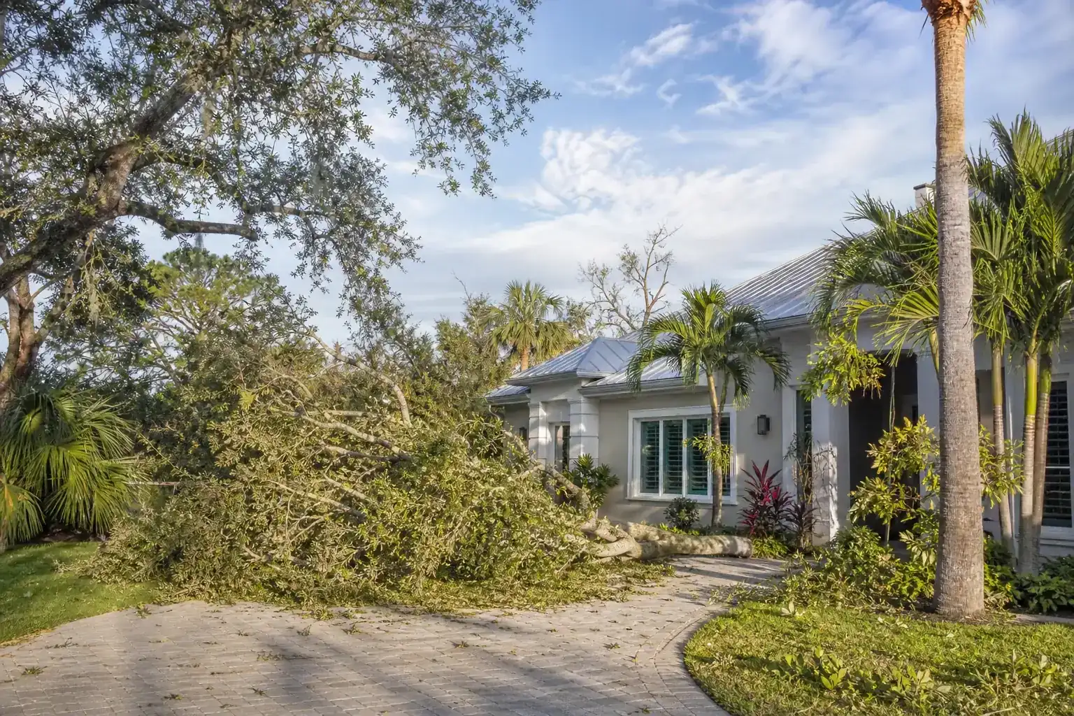 Storm-damaged branches beside a Florida home for prep trees for storms in daytona beach, fl Storm-damaged branches beside a Florida home for prep trees for storms in daytona beach, fl