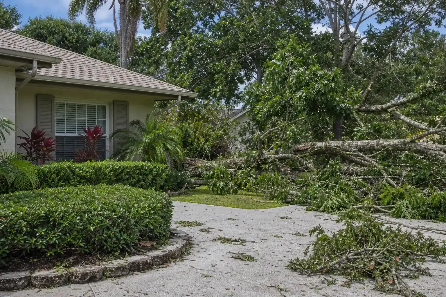Storm-damaged branches beside a Florida home illustrating understanding daytona beach’s storm risks Storm-damaged branches beside a Florida home illustrating understanding daytona beach’s storm risks
