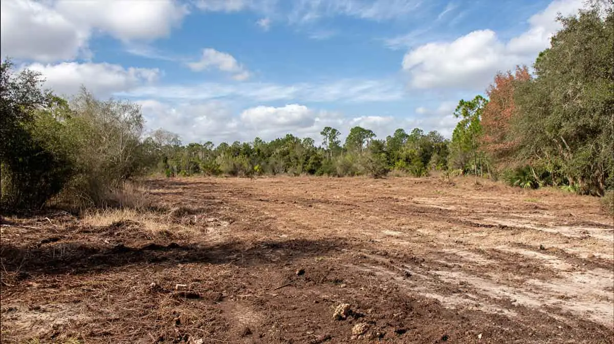 Trees and tree care related to Root Excavation Orange City FL for Utilities