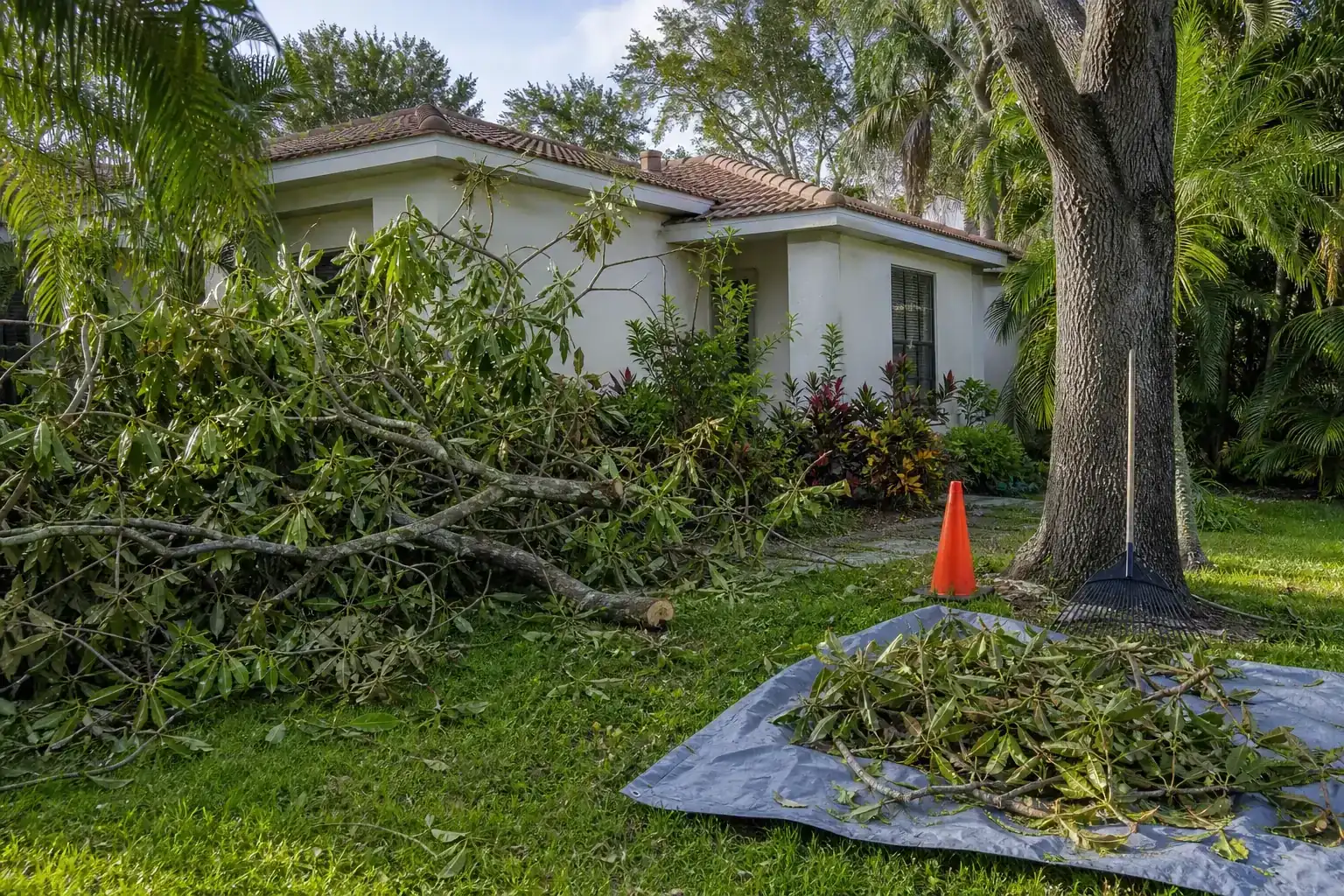 Storm-damaged branches beside a Florida home illustrating understanding storm impact on properties