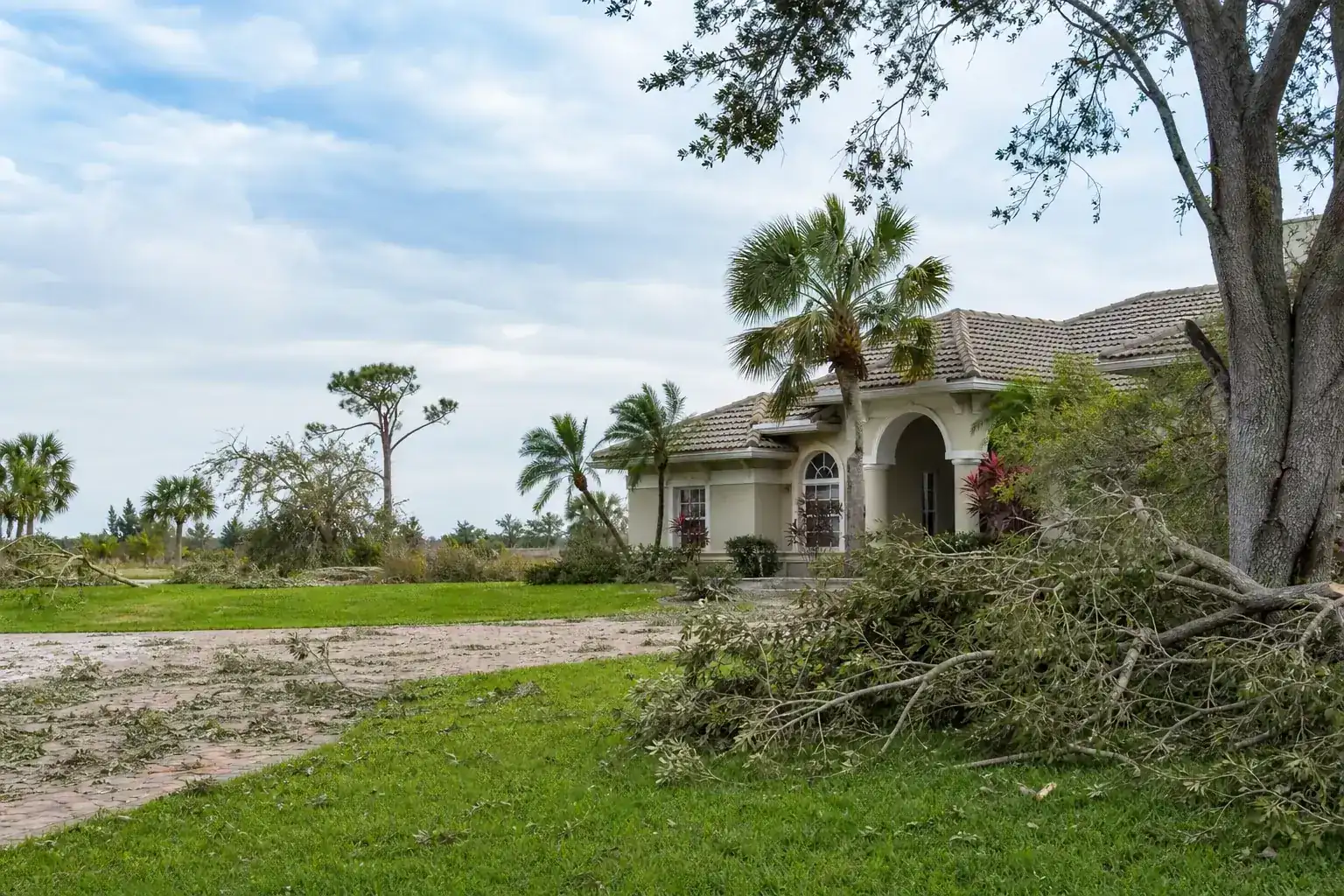 Storm-damaged branches beside a Florida home for storm prep experts in daytona beach, fl Storm-damaged branches beside a Florida home for storm prep experts in daytona beach, fl