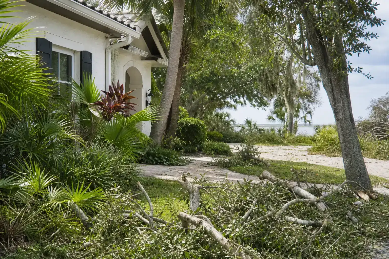 Storm-damaged branches beside a Florida home illustrating importance of tree services in storm preparation in fl Storm-damaged branches beside a Florida home illustrating importance of tree services in storm preparation in fl