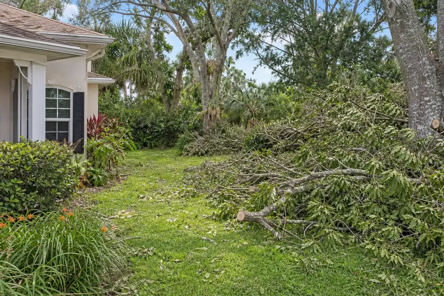 Storm-damaged branches beside a Florida home illustrating understanding the challenges hurricanes bring to your landscape Storm-damaged branches beside a Florida home illustrating understanding the challenges hurricanes bring to your landscape