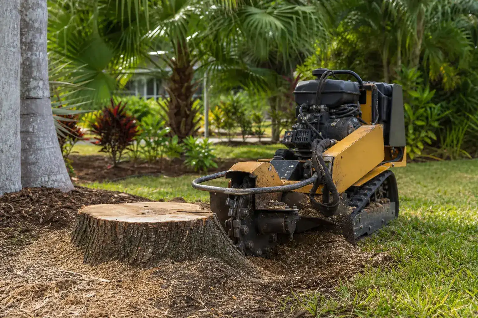Tree stump and stump grinder in a Florida yard illustrating why stump grinding matters for playground installations