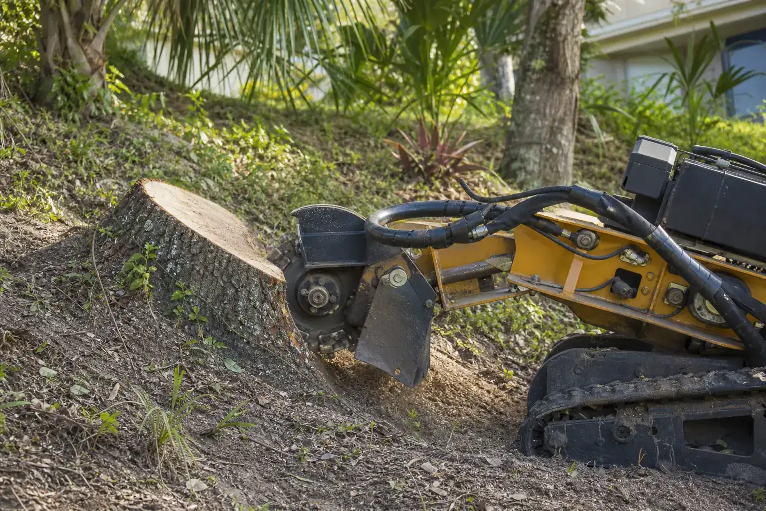 Tree stump and stump grinder in a Florida yard illustrating why a slope changes the stump grinding process